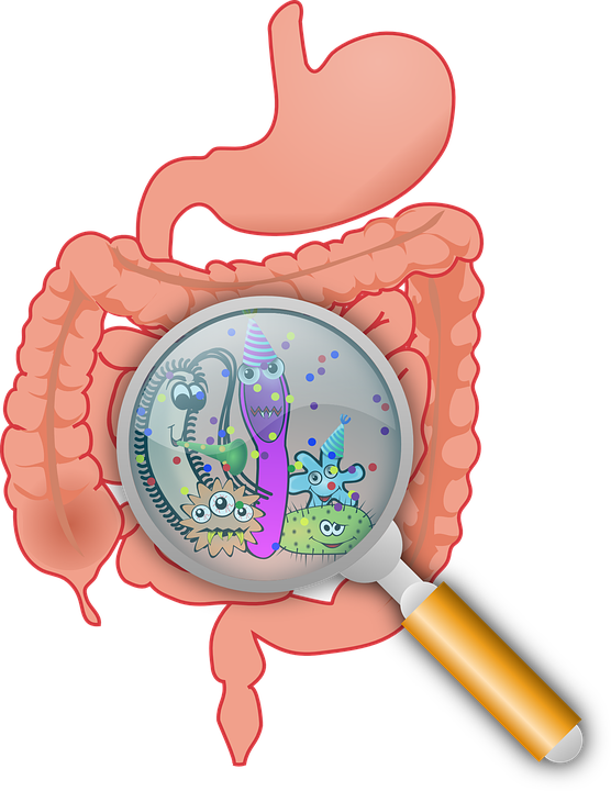 ASB - Module 09 - Les fonctions de digestion et d'élimination