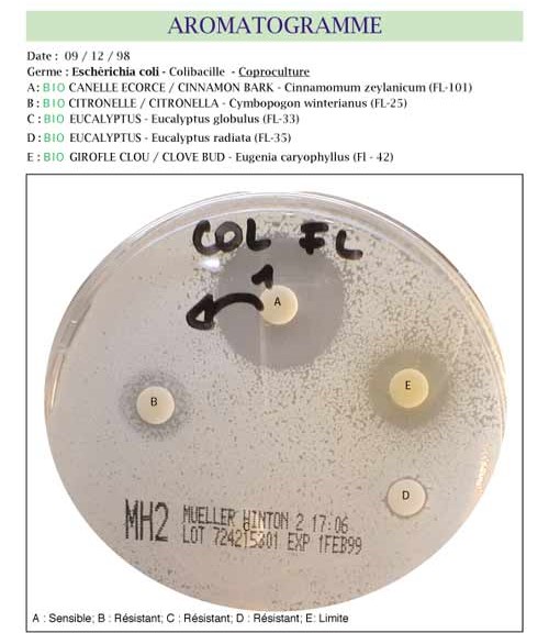 AC - Module 02 - Les modes d'action de l'aromathérapie